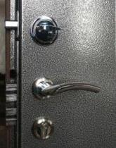 металлическая дверь в Химках